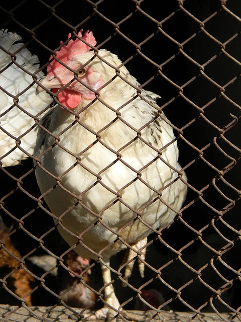 此类案例提 此类案例提