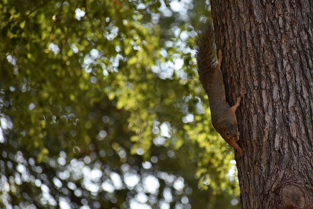 的过程中 的过程中