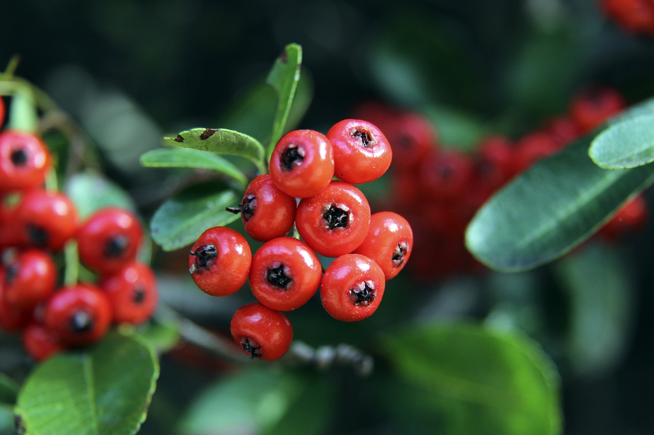 服务社会的 服务社会的