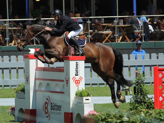 的纪念区域 的纪念区域